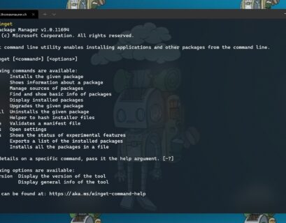 Windows Package Manager WinGet CLI